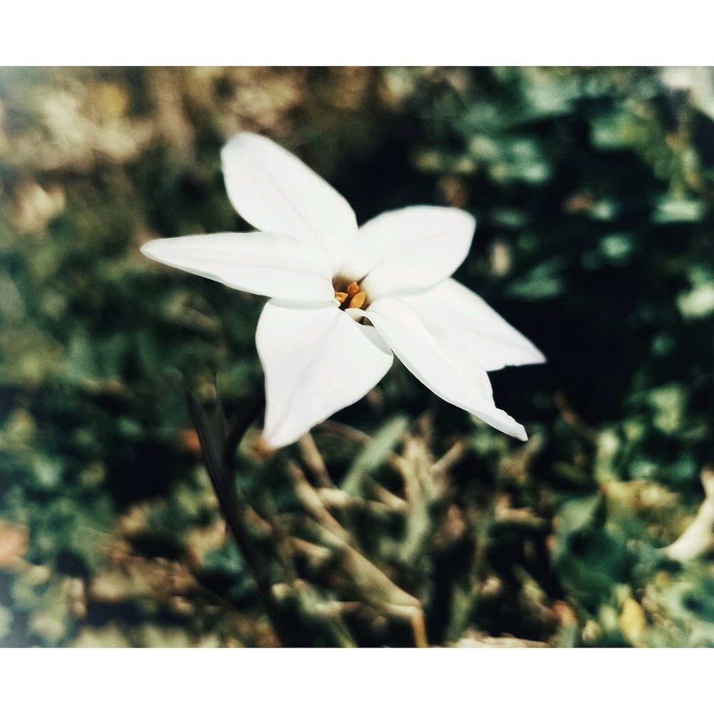 Meet your Posher, Brianda